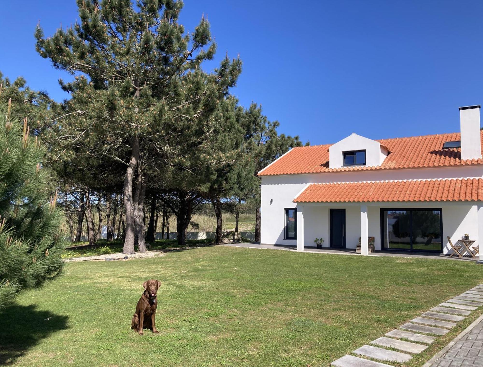 Bed and Breakfast 45 Pines West Acafora Exterior foto